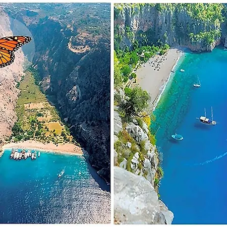 Dalos دالامان